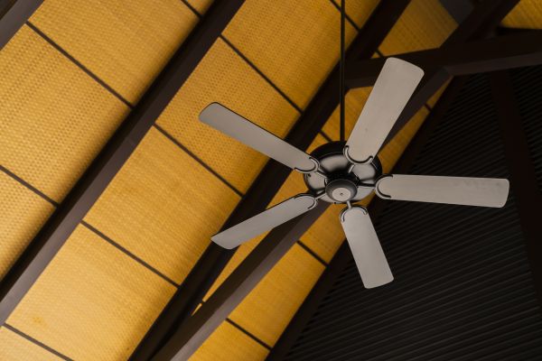 Ceiling Fan Service