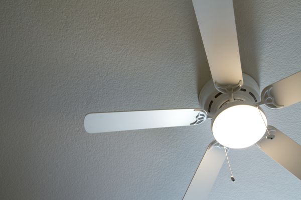 Ceiling Fan Light Service