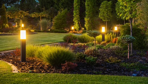 Landscape Lighting Installation